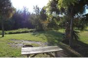 Photo: 009, PRIM. Cabin #9 at Oleta River has a fire ring and a picnic table.