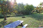 Photo: 011, PRIM. Cabin #11 at Oleta River has a fire ring and a picnic table.