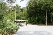 Campsite with picnic table and clothes lines poles.