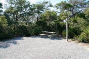 Campsite with picnic table, fire ring and clothes lines poles.