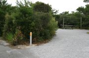 Site #11 with picnic table and clothes lines poles.