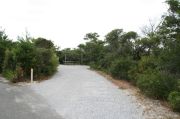 Pull through campsite surrounded by lush vegetation.