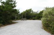 Campsite with picnic table, fire ring and clothes lines poles.
