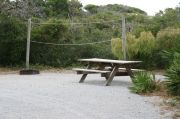 Campsite with picnic table, fire ring and clothes lines poles.