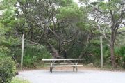 Campsite with picnic table, fire ring and clothes lines poles.