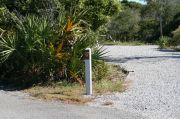 Gravel based pull-through site with vegetation for privacy.