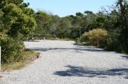 Gravel based pull-through site with vegetation for privacy with picnic table.