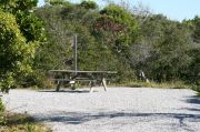 Gravel based pull-through site with vegetation for privacy with picnic table.