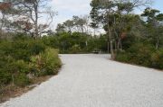Pull through site with picnic table and vegetation.