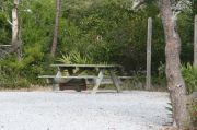 Picnic table and fire ring with clothesline in campsite.