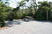 Picnic table and fire ring with clothesline in campsite.