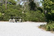 Picnic table in pull through site surrounded by vegetation.