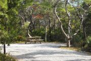Picnic table in pull through campsite.