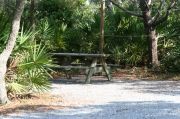 Picnic table and clothes line in campsite.