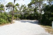 Picnic table and clothes line in campsite.