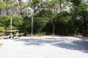 Picnic table, fire ring and clothes line in campsite.