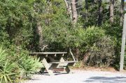 Picnic table and fire ring in campsite.