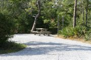 Picnic table and clothes line in pull through site.