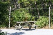 Picnic table and clothes line in pull through site.