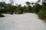 Picnic table and fire ring in small tent only site.