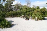 Picnic table and fire ring in small tent only site.