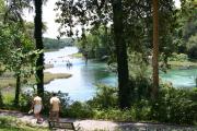 Photo: RAINBOW SPRINGS SP