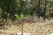 Close-up photo of the brown with white site number sign on a wooden post.