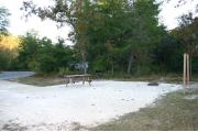 Photo shows an empty gravel pad with another RV slightly visible through trees giving morning shade. There is only grass around the rest of the site.