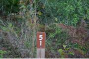 Close-up photo of the brown with white site number sign on a wooden post.