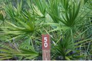 Close-up photo of the brown with white site number sign on a wooden post.