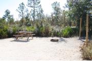 This site has a standing grill, fire ring, picnic table, water, electric 20/30/50 amp, and sewer. Amenities include a camp store, recreation hall, ADA accessible showers and restrooms, laundry, dump station, canoe rentals, short walk to the river, and playground. Tents and RV (maximum length of 40 ft) are allowed. This site is fine gravel surface.