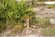 Close-up photo of the brown with white site number sign on a wooden post.