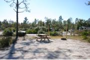 This photo shows an empty fine gravel pad that has a few pine trees near. There is vegetation surrounding the site. Other RVs are visible through the vegetation.