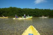 Photo: CURRY HAMMOCK SP. A park ranger leads a group of kayakers on a guided tour of the sea grass flats and mangrove areas of Curry Hammock State Park.