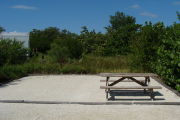 Photo: 002, View of site number post white on brown, bushes visible in the back ground.