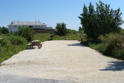 Photo: 003, View of gravel campsite with picnic table and grill, bathhouse in background.