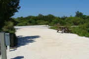 Photo: 003, View looking out from back of site to campground road.