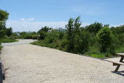Photo: 004, View looking out from back of site to campground road.