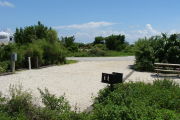 Photo: 005, View looking out from back of site to campground road. RVs in background.