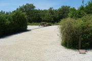 Photo: 007, View of gravel campsite with picnic table and grill, bushes in background.