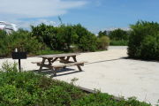 Photo: 007, View looking out from back of site to campground road. Bathhouse in background.