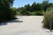 Photo: 008, View looking out from back of site to beach. Trees and Atlantic Ocean in background.