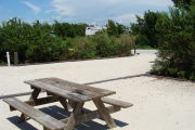 Photo: 008, View looking out from back of site to campground road. Bathhouse in background.