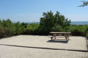 Photo: 009, View looking out from back of site to beach. Trees and Atlantic Ocean in background.