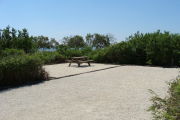 Photo: 009, View of gravel campsite with picnic table and grill, bushes in background.
