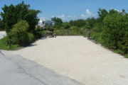 Photo: 010, View looking out from back of site to campground road. RV and trees in background.