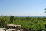 Photo: 011, View of gravel campsite with picnic table and grill, Atlantic Ocean and bushes in background.