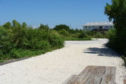 Photo: 011, View looking out from back of site to campground road. Bathhouse in background.