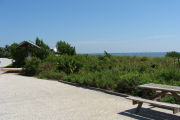 Photo: 013, View looking out from back of site to campground road. Kiosk and beach access in background.