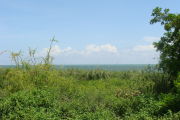 Photo: 017, View of gravel campsite with picnic table and grill, Atlantic Ocean and bushes in background.